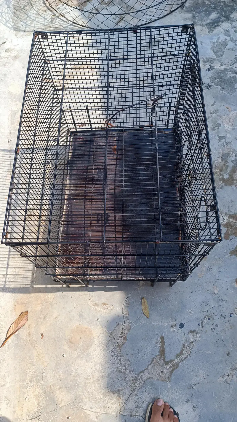 parrot cage — photo 6