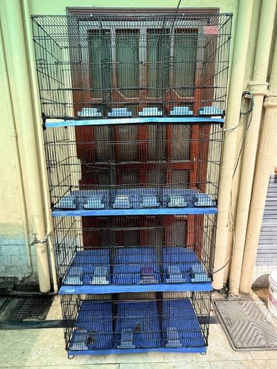 12 Portions Master Cage