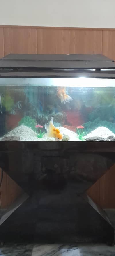 Fish Aquarium 124 Liter / 33 Gallon)with Stand, Filter, Heater & light