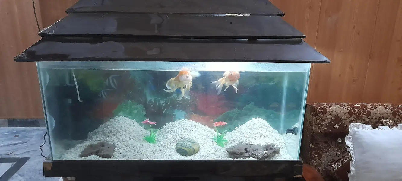 Fish Aquarium 124 Liter / 33 Gallon)with Stand, Filter, Heater & light — photo 2