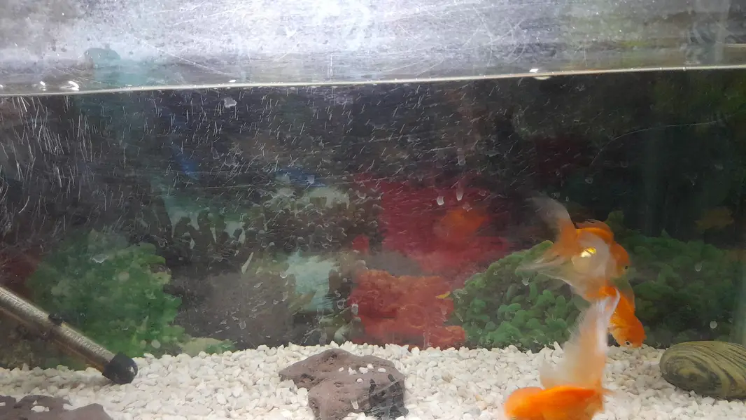 Fish Aquarium 124 Liter / 33 Gallon)with Stand, Filter, Heater & light — photo 5