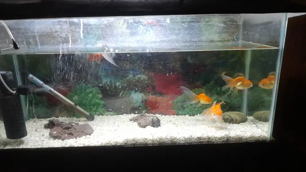 Fish Aquarium 124 Liter / 33 Gallon)with Stand, Filter, Heater & light — photo 6