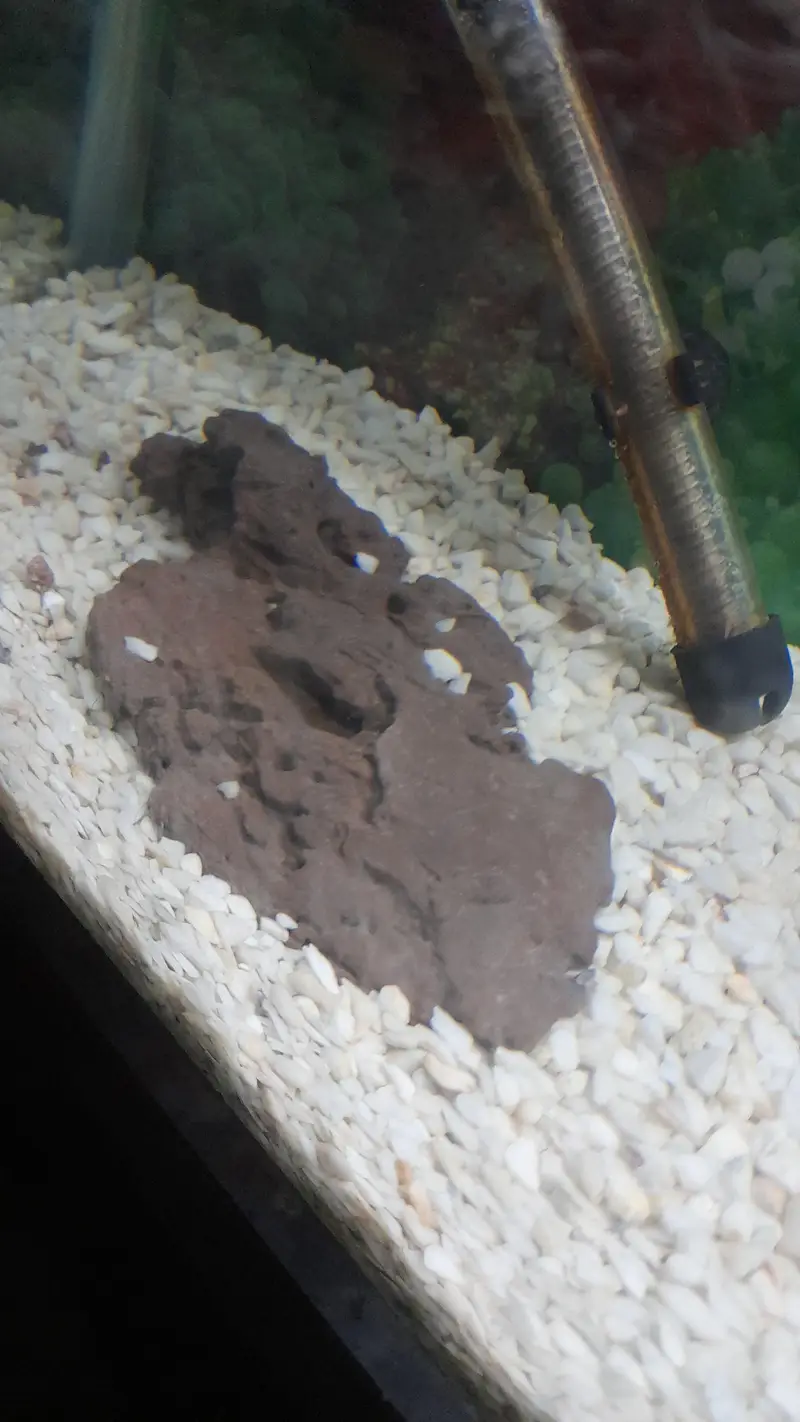 Fish Aquarium 124 Liter / 33 Gallon)with Stand, Filter, Heater & light — photo 7