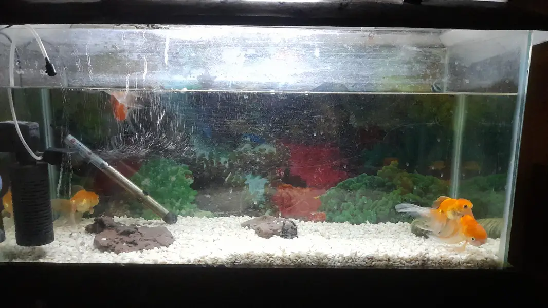 Fish Aquarium 124 Liter / 33 Gallon)with Stand, Filter, Heater & light — photo 9