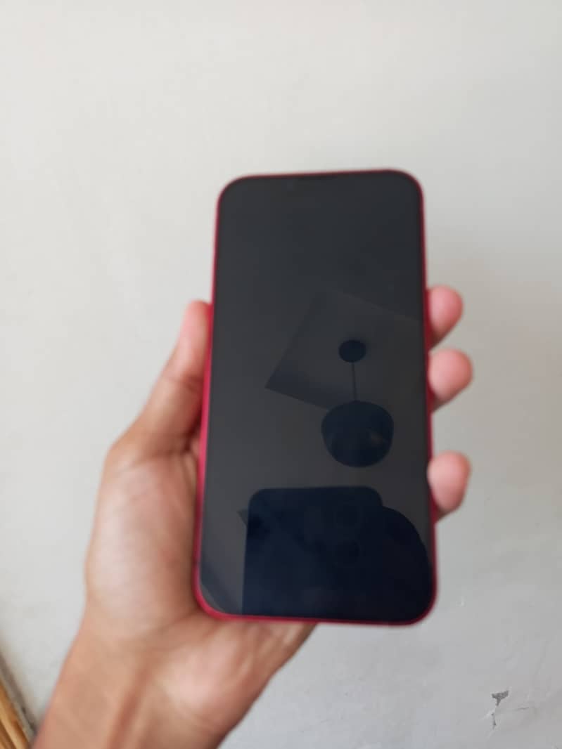 iPhone 13 waterpack 2