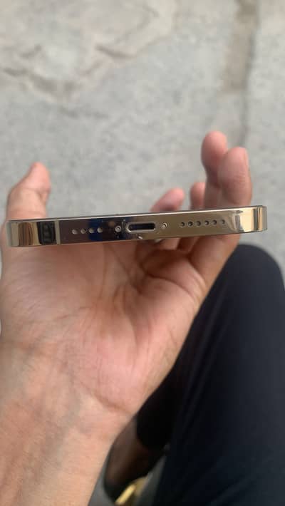 Apple iPhone 12 Pro Max