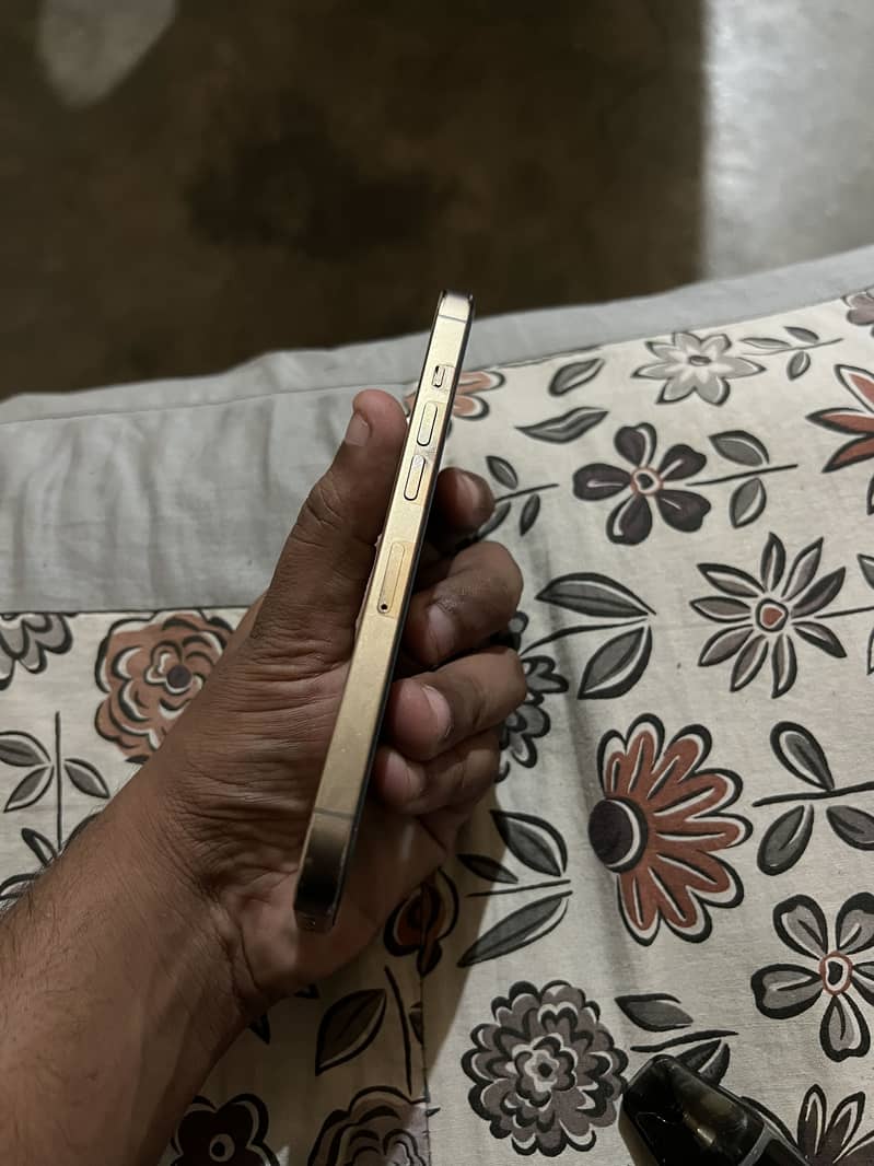 Apple iPhone 13 Pro 1