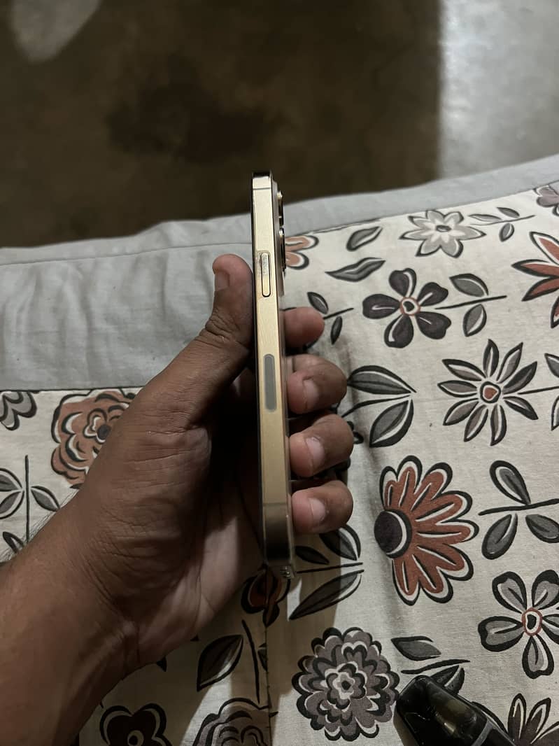 Apple iPhone 13 Pro 2