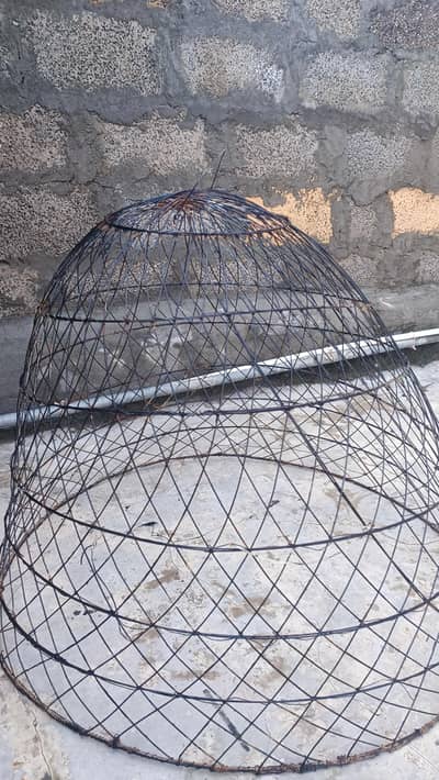 hen cage
