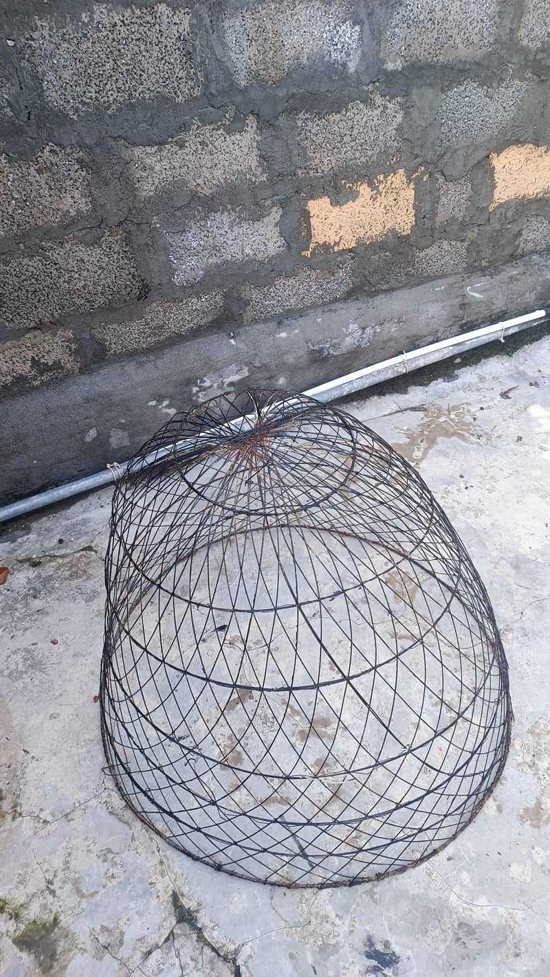 hen cage 1