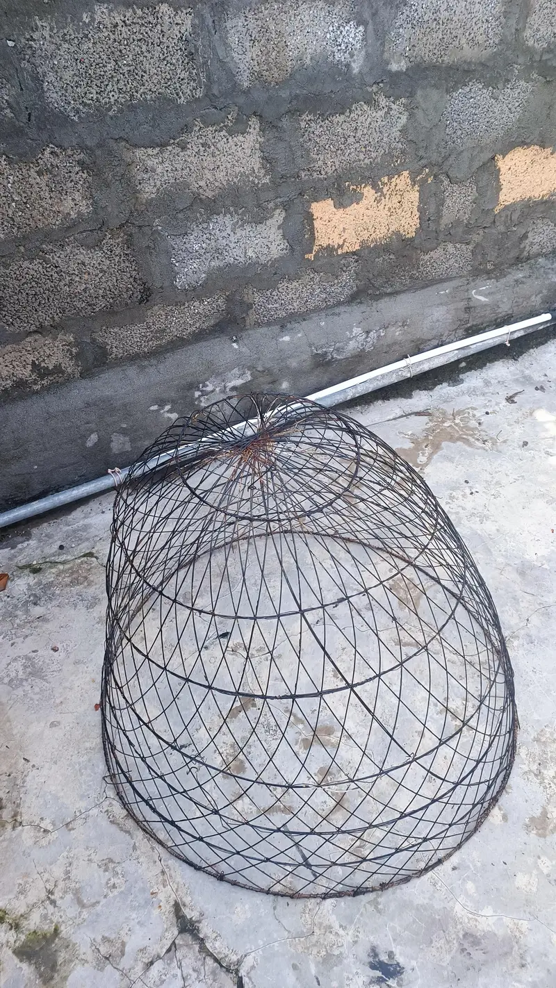 hen cage — photo 2
