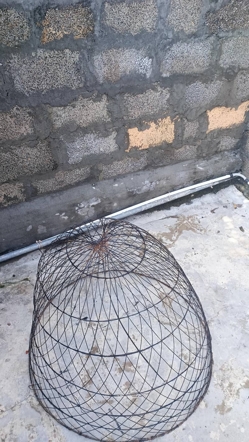 hen cage 2