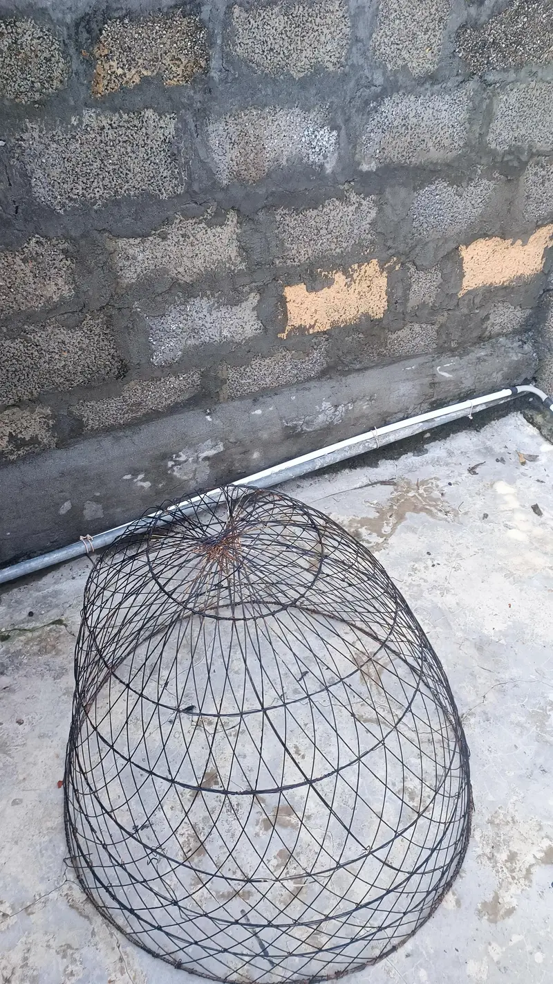 hen cage — photo 3