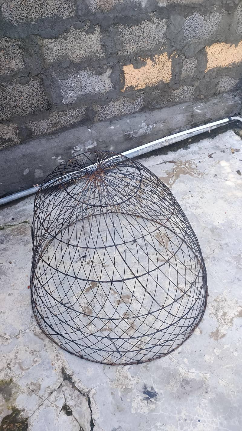 hen cage 3