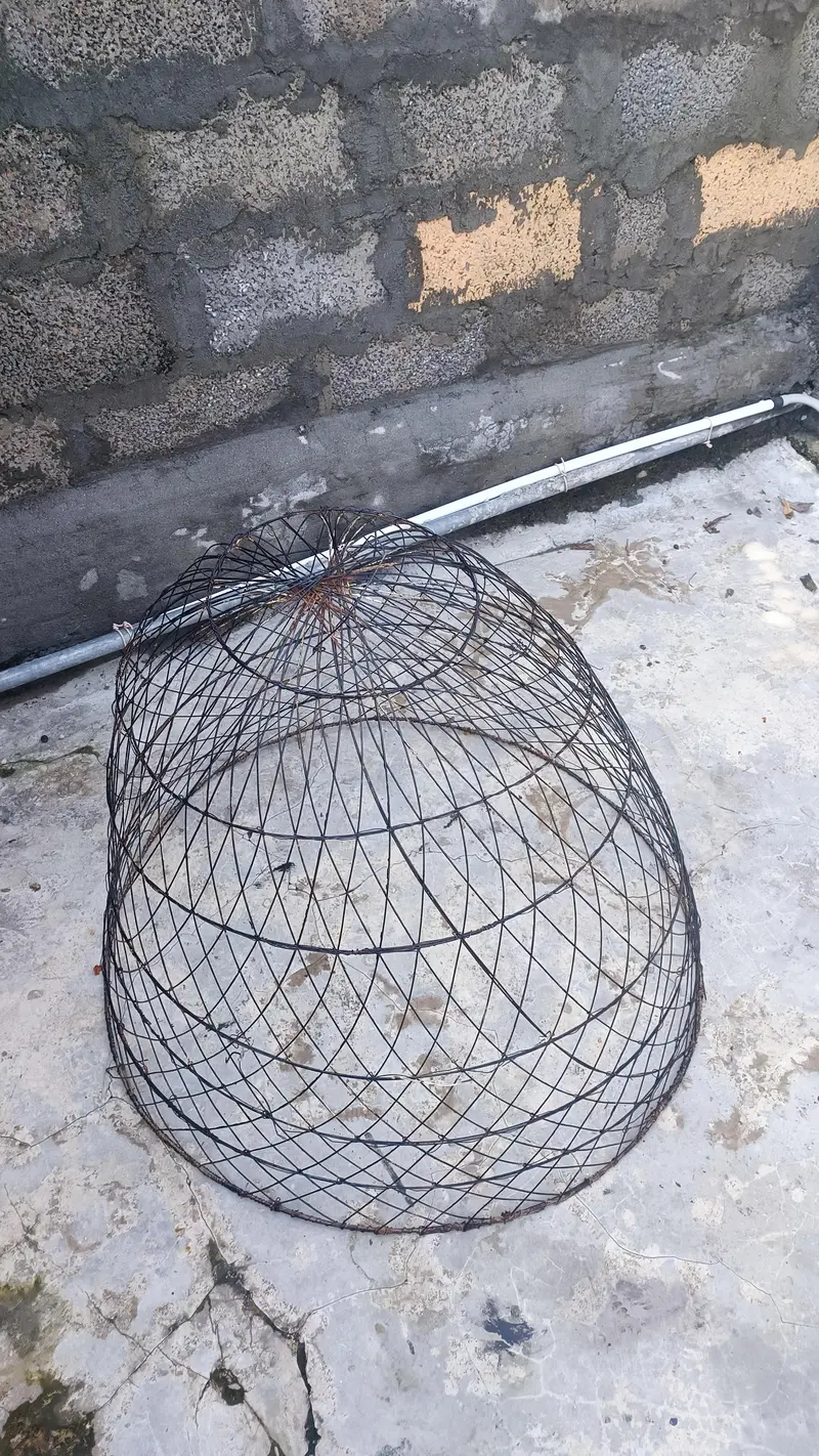 hen cage — photo 4