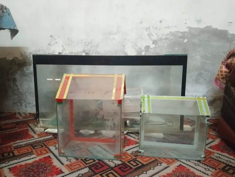 aquarium — photo 4