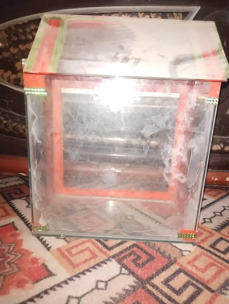 aquarium — photo 7
