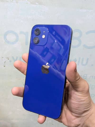 Apple iPhone 12