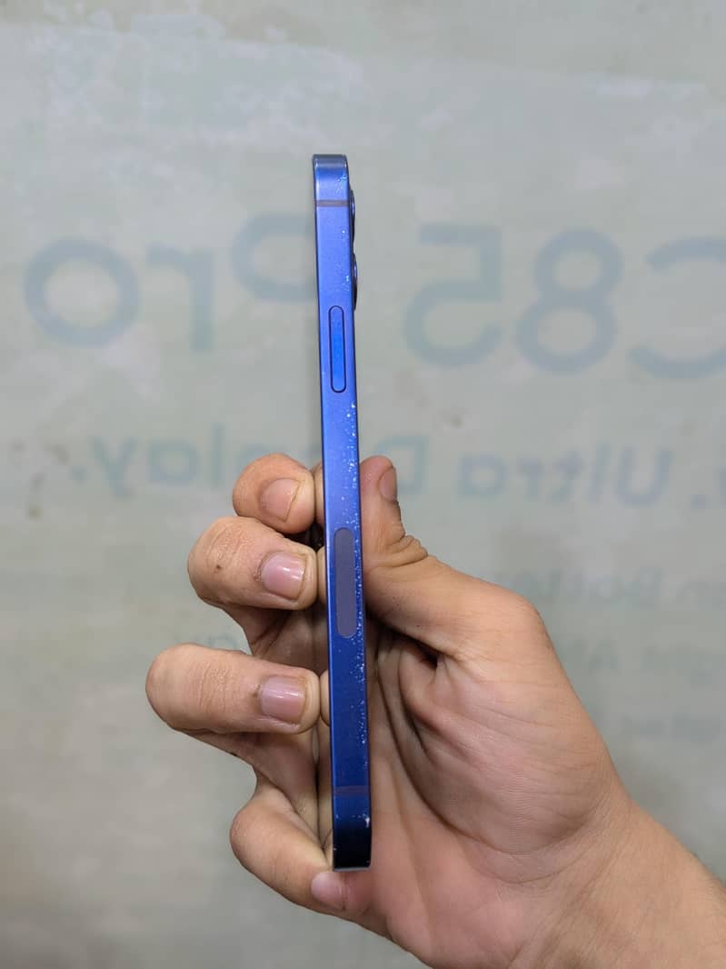 Apple iPhone 12 1
