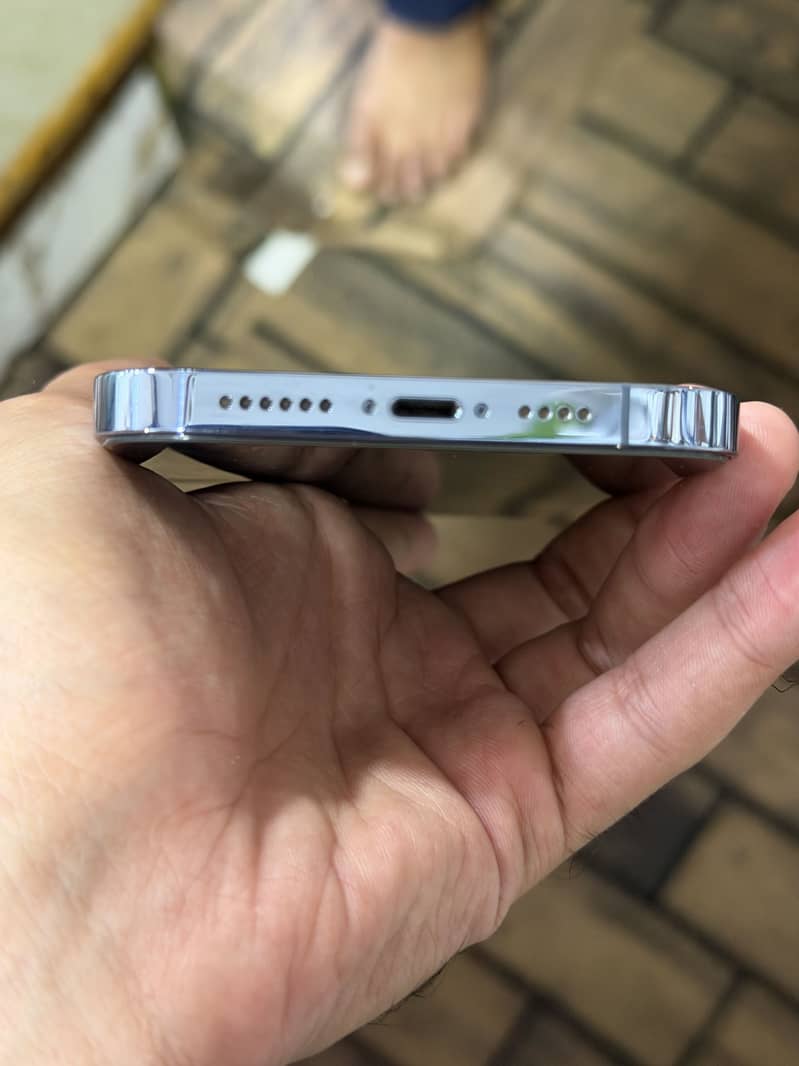 Apple iPhone 13 Pro Max 1