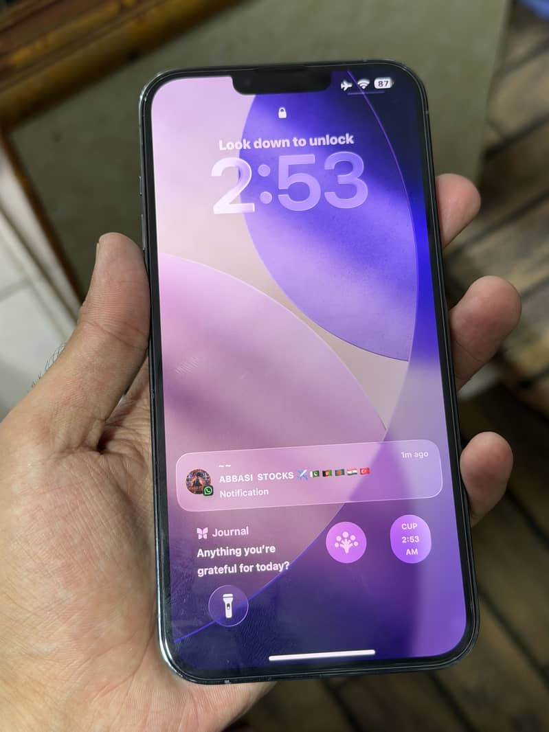 Apple iPhone 13 Pro Max 2