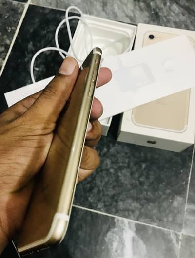 Iphone 7 128 GB PTA approved