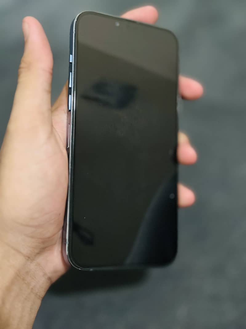 Apple iPhone 13 Pro Max 1