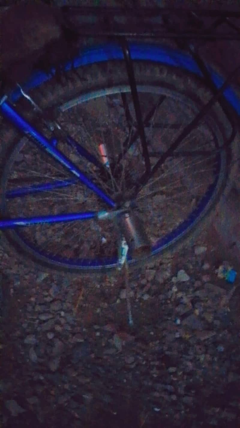 bicycle 2