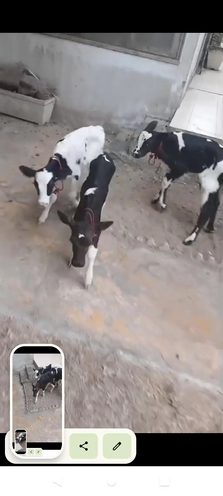 For sale urgent contact num 03150256053 — photo 2