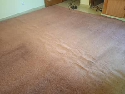 Wall-to-Wall Room Carpet (Large 15x15 Size) – Great Condition