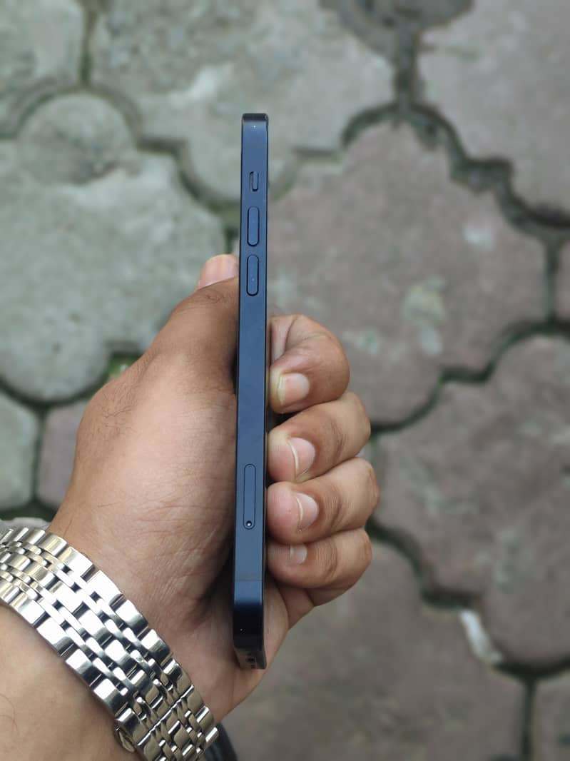 Apple iPhone 12 1