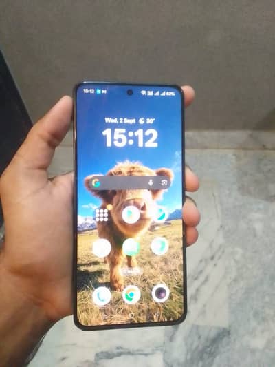 OPPO Reno 11f 5g 8 /256