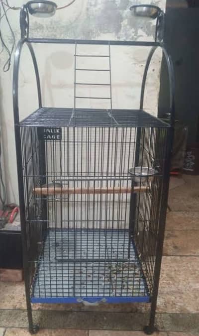 Tame parrots cage available