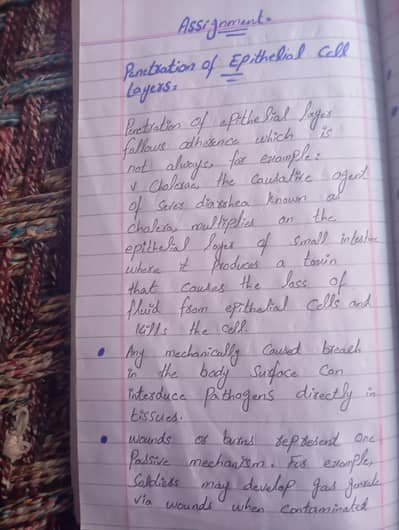 assignments work allama Iqbal open university virtual university