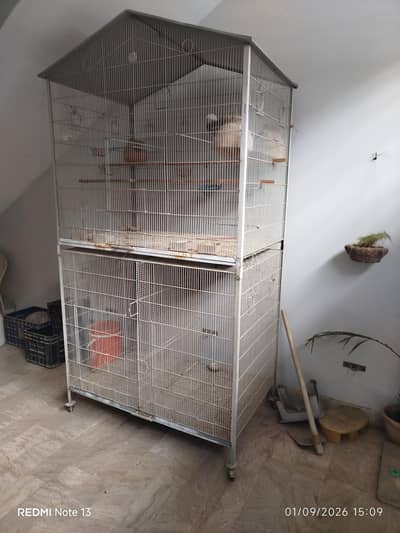 Bird Cage For Sale
