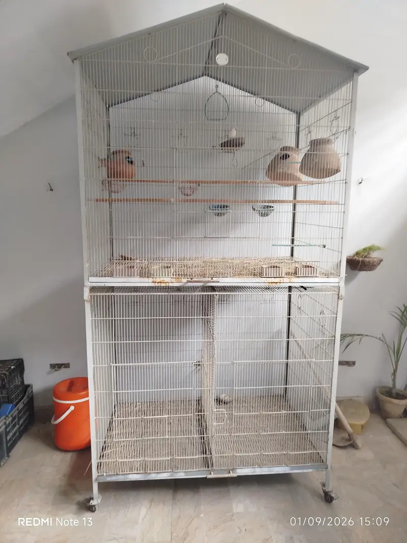 Bird Cage For Sale — photo 2