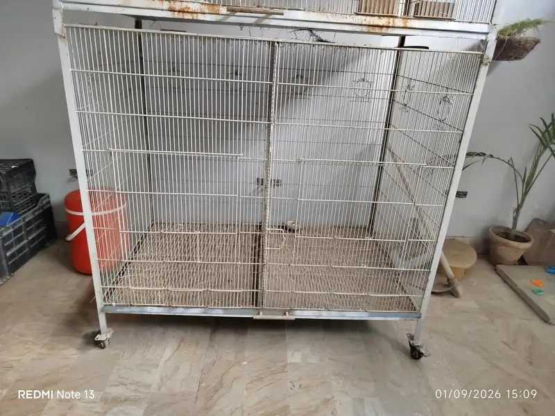 Bird Cage For Sale — photo 3