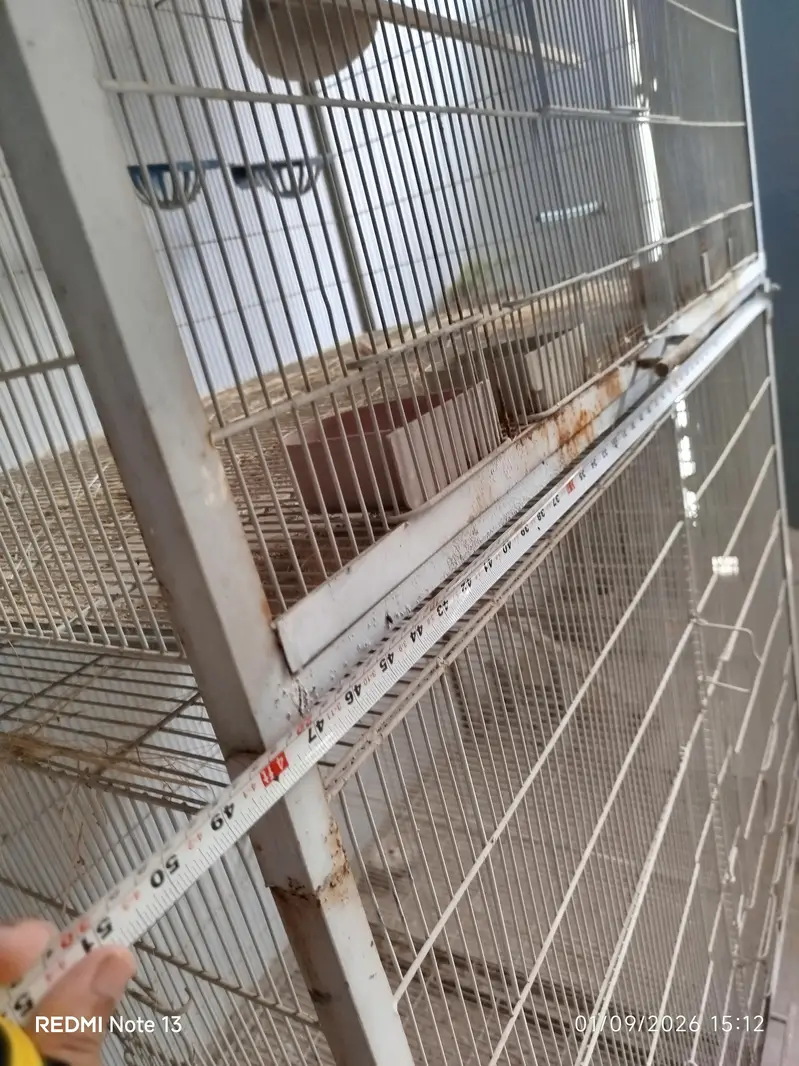 Bird Cage For Sale — photo 6