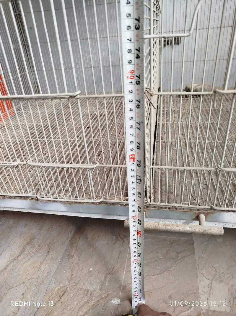 Bird Cage For Sale — photo 7