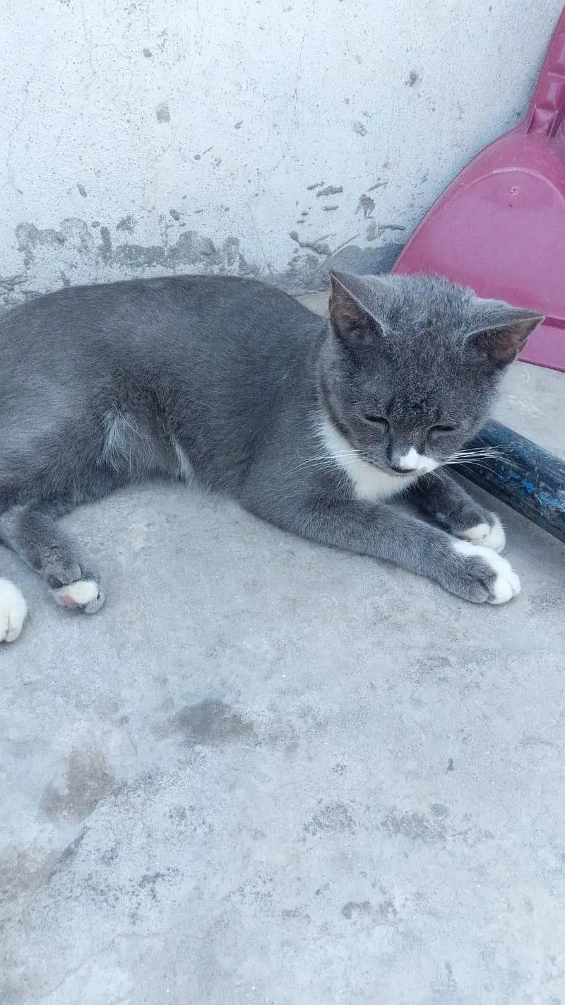 so sweet — photo 5