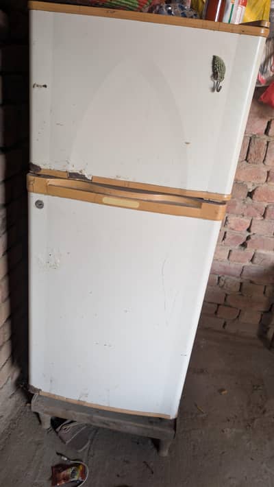 frige only gas khathm ha