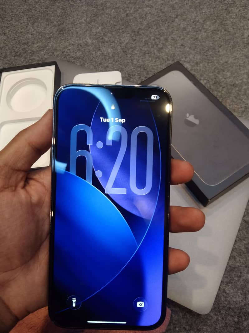 Apple iPhone 13 Pro Max 1