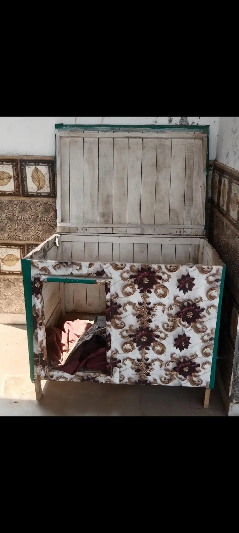 Dog Cage — photo 3