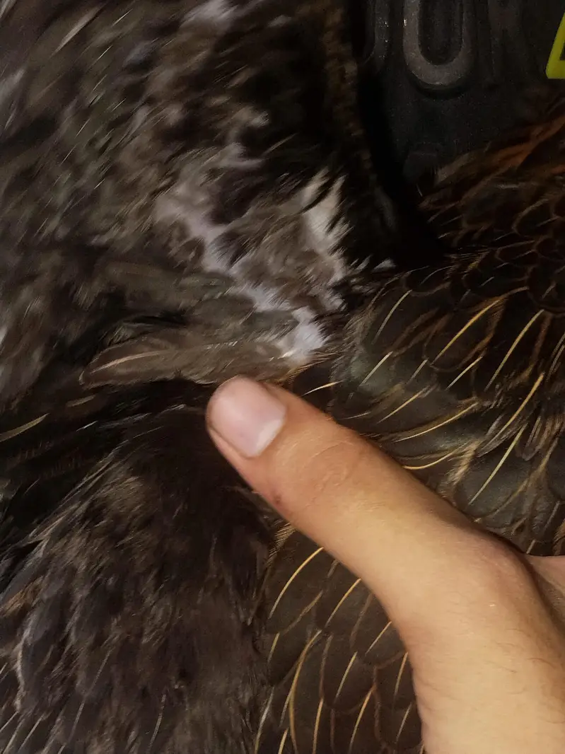 dargen hen — photo 7