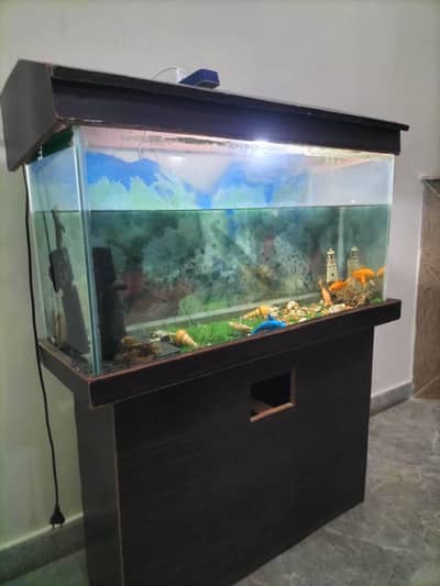 selling aquarium