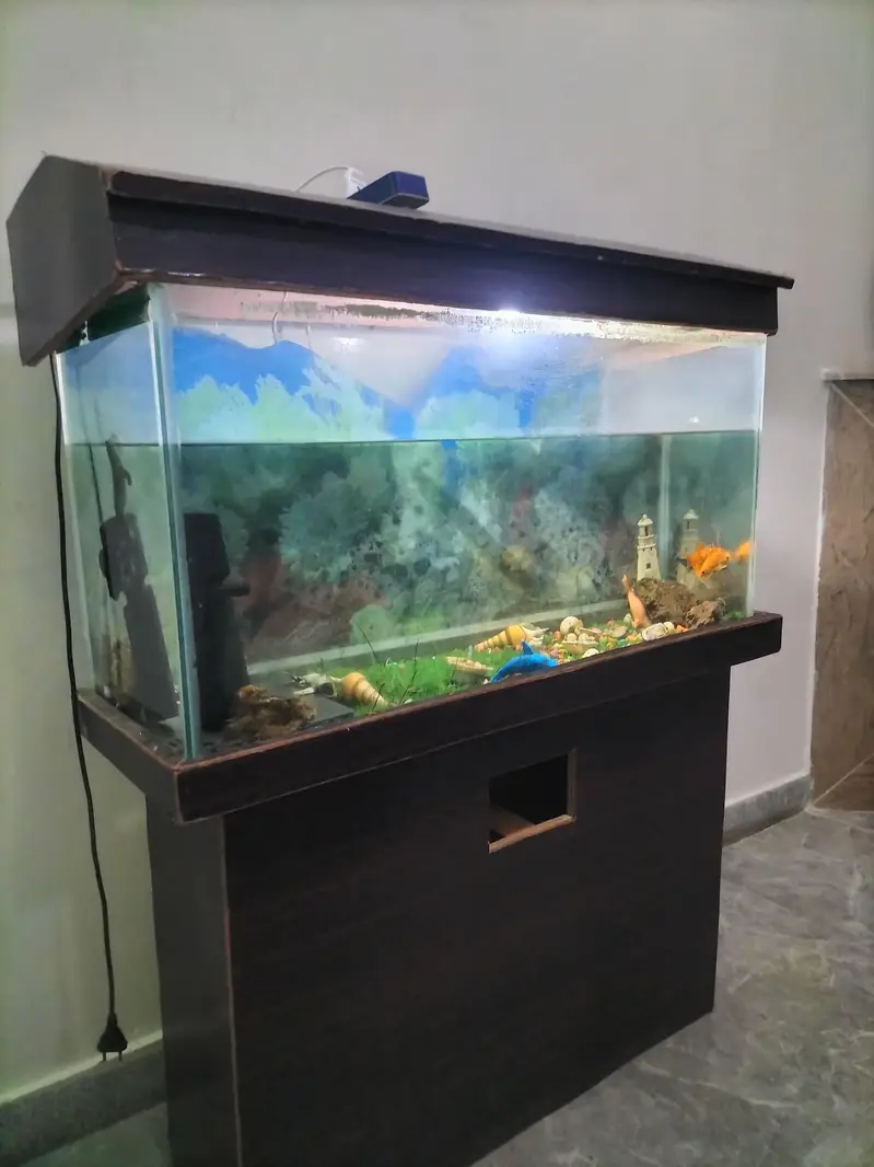 selling aquarium — photo 2
