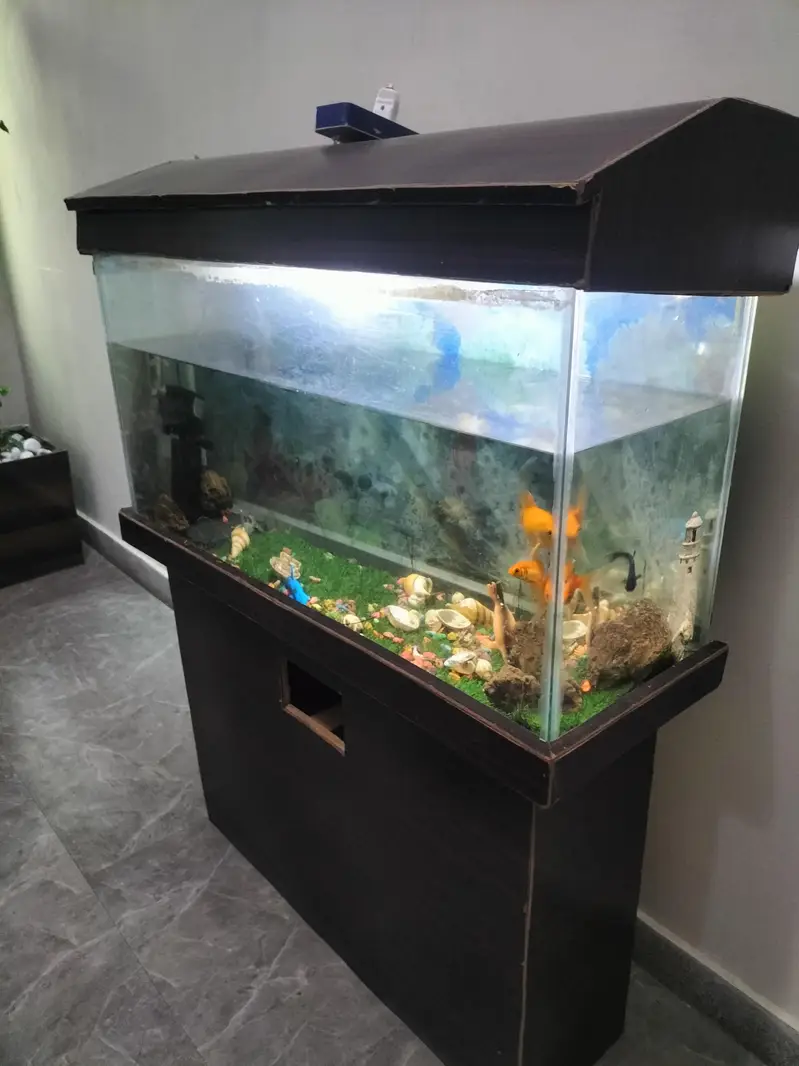 selling aquarium — photo 3
