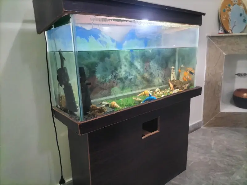 selling aquarium — photo 4