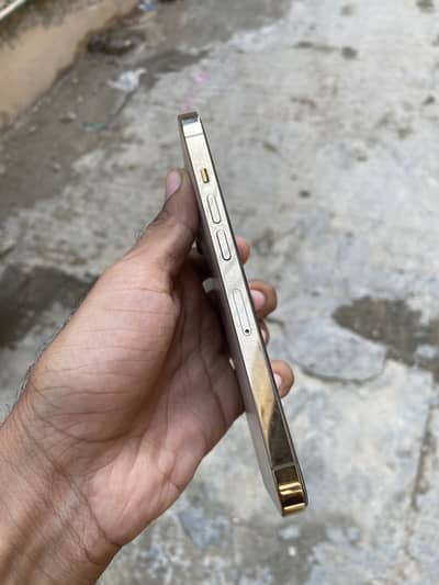 Apple iPhone 13 Pro