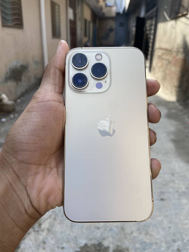 Apple iPhone 13 Pro 1